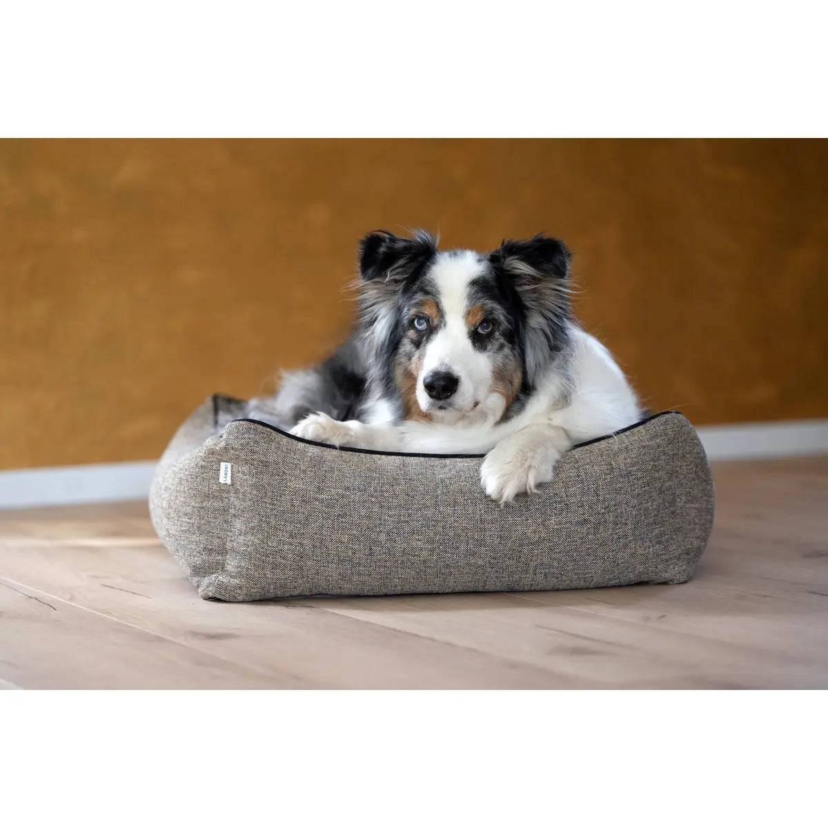 CLASSIC Hundebett - SCALA AMBER LABONI