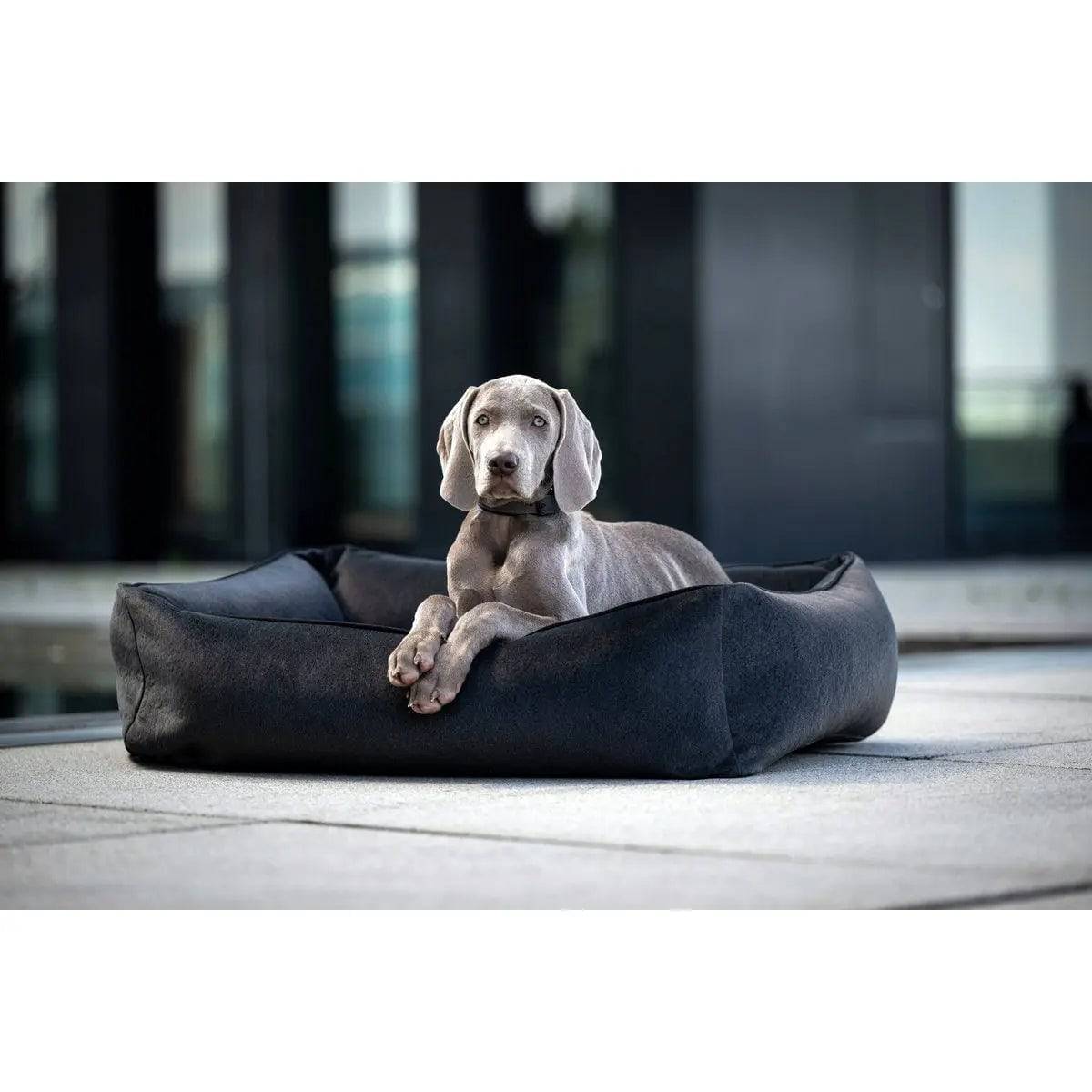 CLASSIC Hundebett - BUFFALO GRAPHITE LABONI