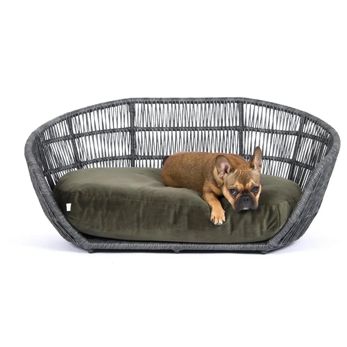 PRADO - Design-Hundebett OXFORD LABONI