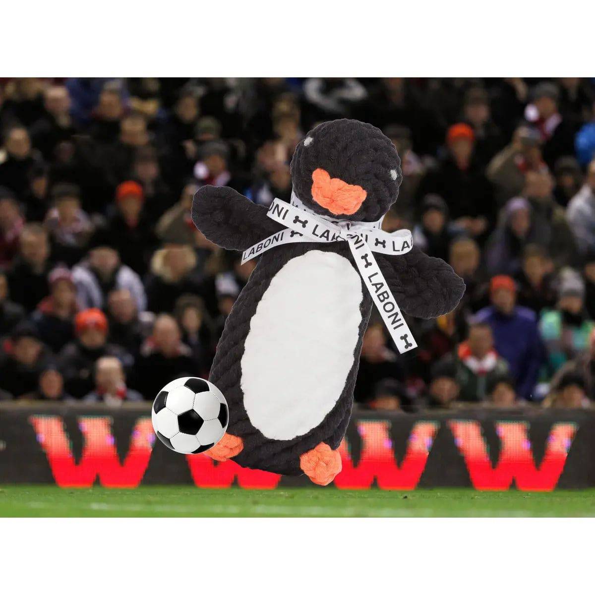 Poldi Pinguin - Kult-Spielzeug für Hunde LABONI