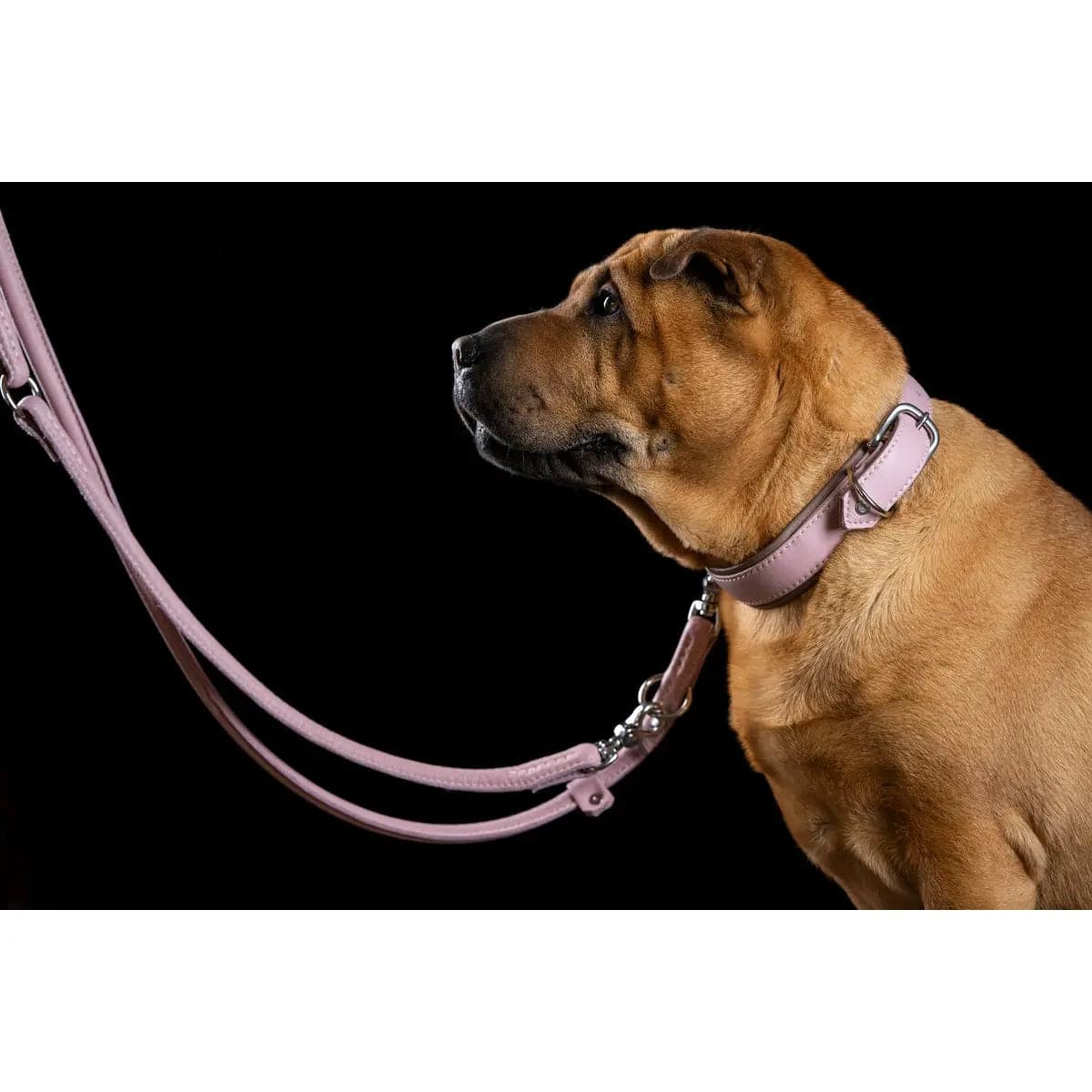 AMICI ROSE - Stilvolles Nappa-Halsband für modebewusste Hundefreunde LABONI