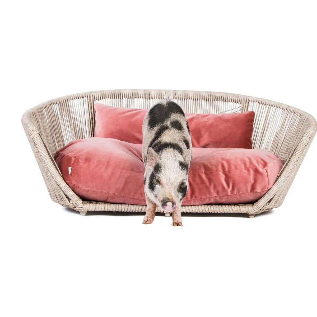 VOGUE - Design-Hundebett OXFORD LABONI