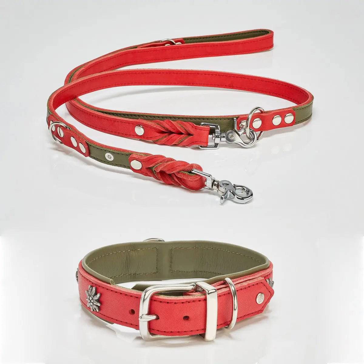 EDELWEISS - Elegantes Hundehalsband mit stilvollen Applikationen LABONI