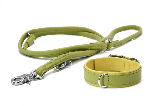 AMICI - Halsband-Leinen-Bundle in Lemon Pawdora