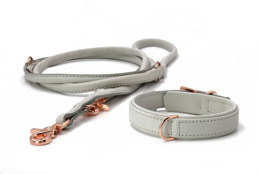 AMICI - Halsband-Leinen-Bundle in Light Grey Pawdora