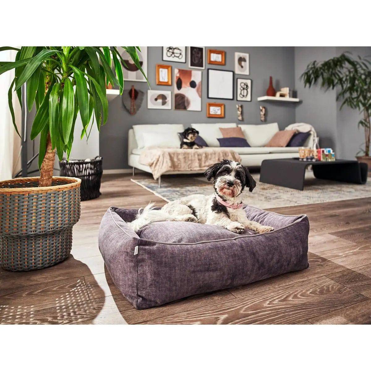 CLASSIC Hundebett - GLAM GRAPHITE LABONI