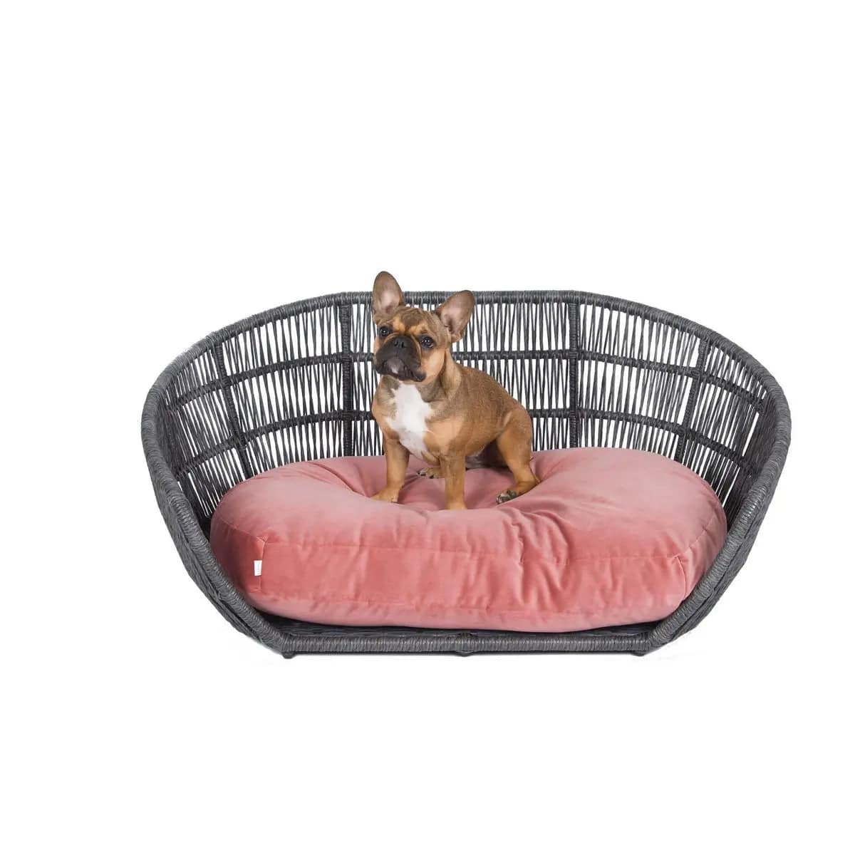 PRADO - Design-Hundebett OXFORD LABONI