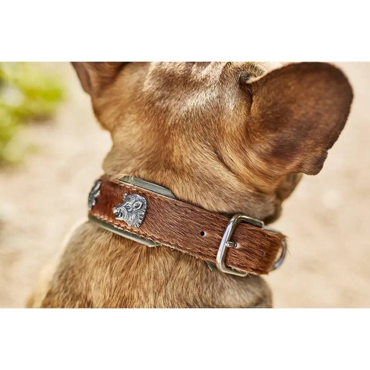 BAVARIA - Exklusives Hundehalsband im aufregenden Material-Mix LABONI