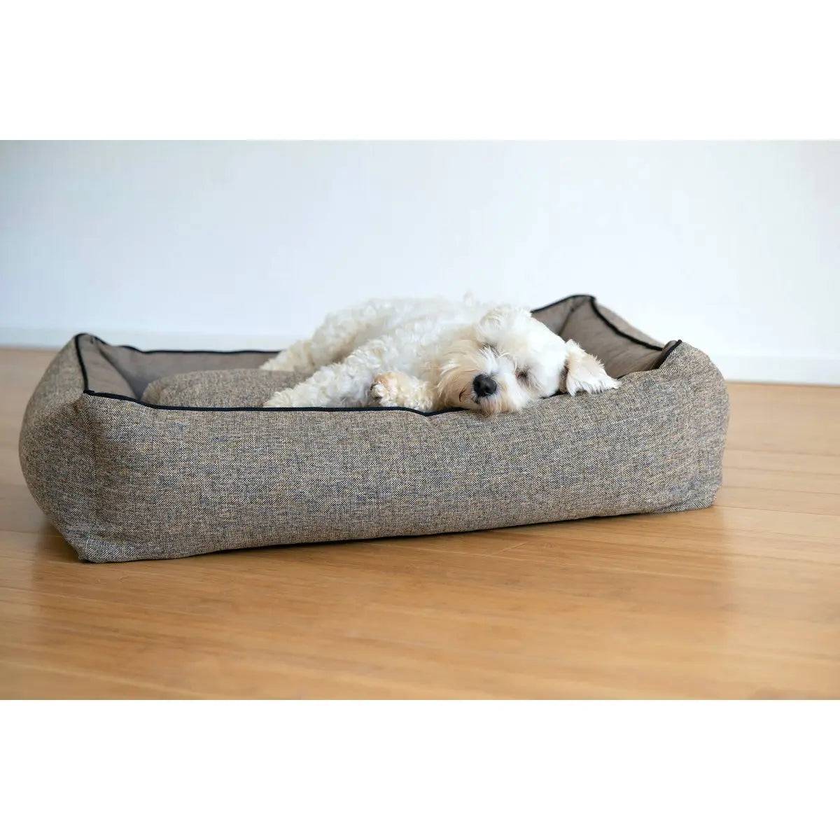 CLASSIC Hundebett - SCALA AMBER LABONI