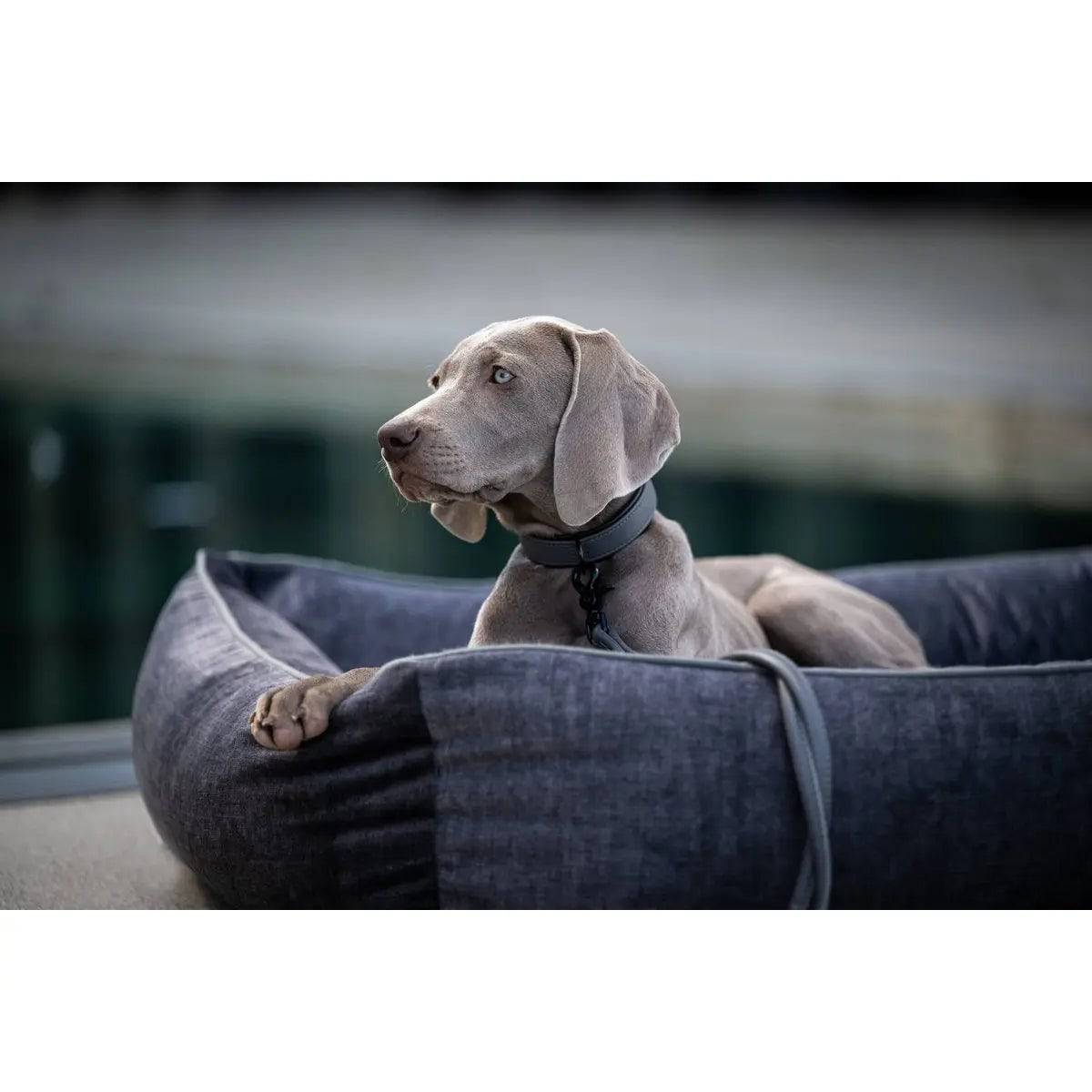 CLASSIC Hundebett - GLAM GRAPHITE LABONI