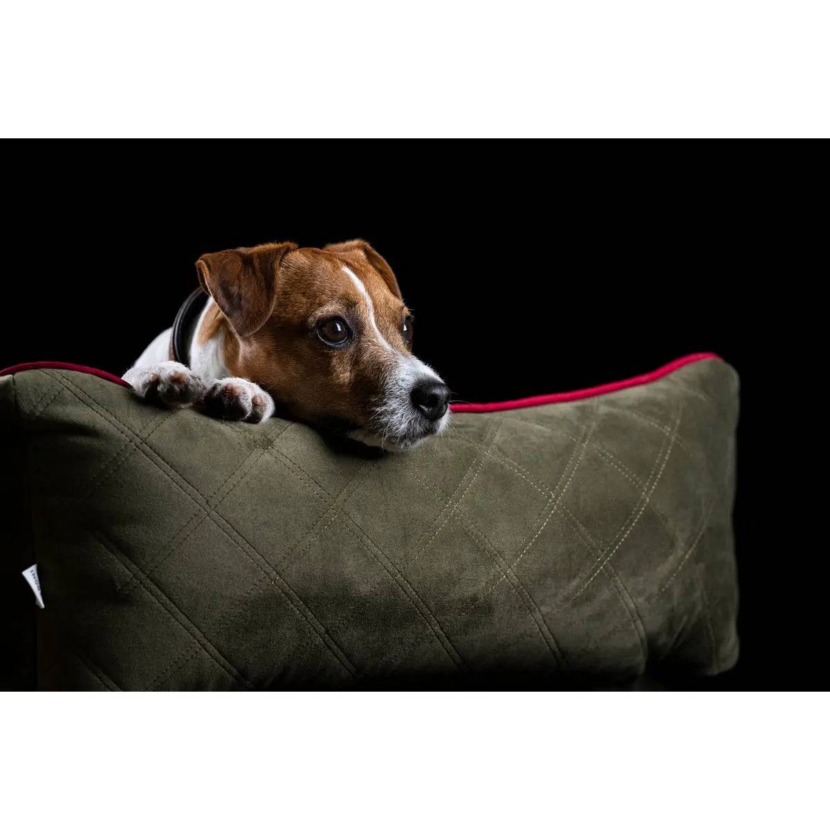 CLASSIC Hundebett - OXFORD OLIVE LABONI