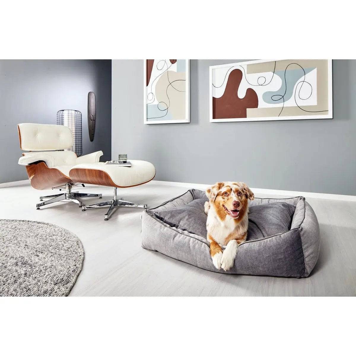 CLASSIC Hundebett - GLAM SILVER LABONI