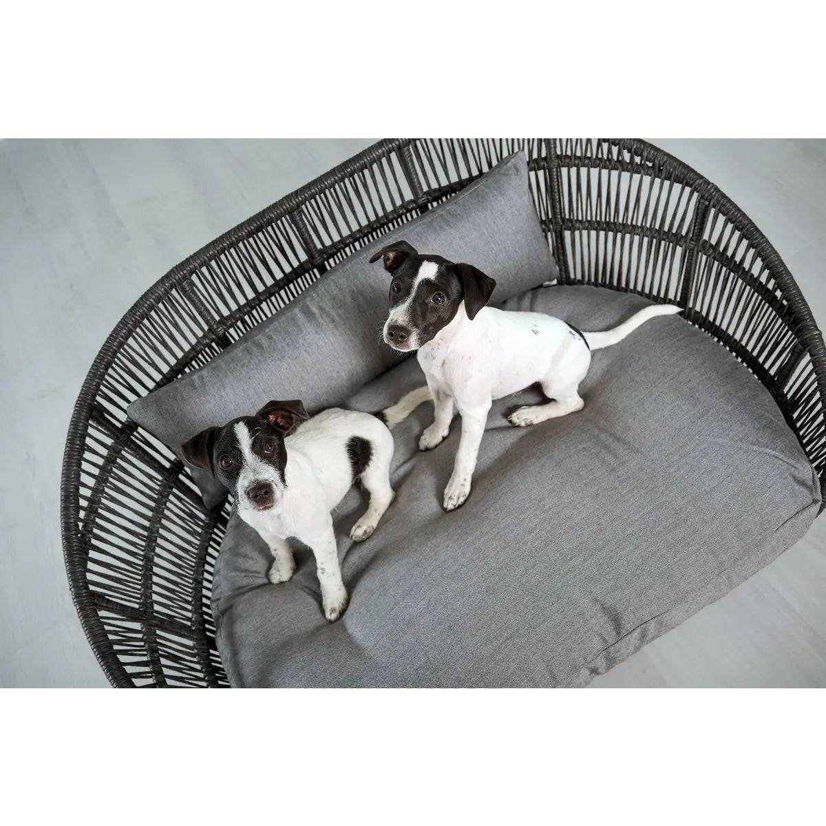 PRADO - Design-Hundebett SMOOTH LABONI