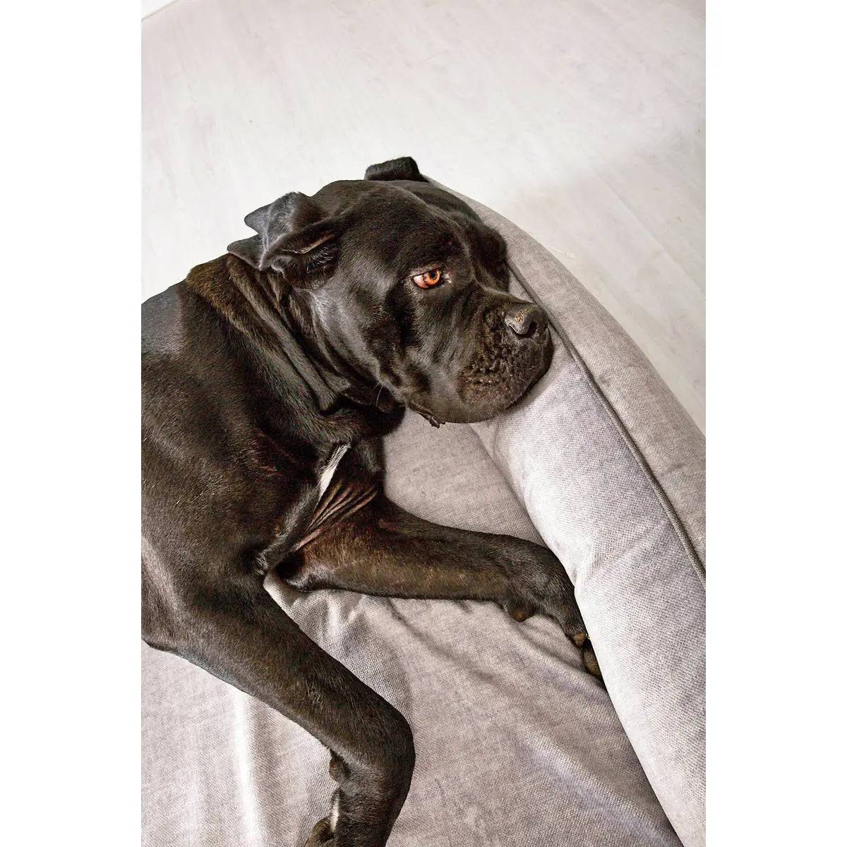 CLASSIC Hundebett - GLAM SILVER LABONI