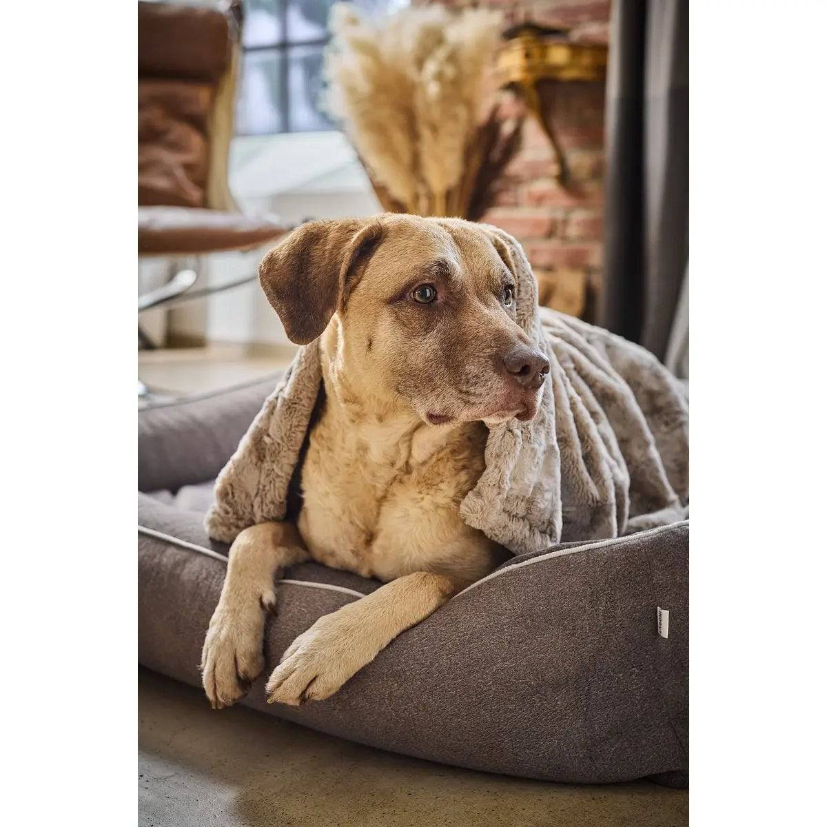 CLASSIC Hundebett - BUFFALO TAUPE LABONI