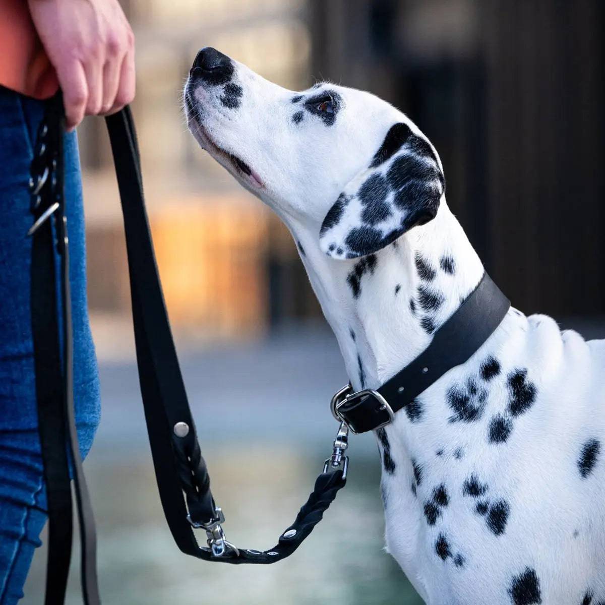 GIRO Black - Klassisches Halsband für jeden Einsatz LABONI