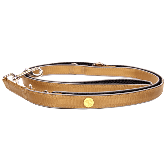 Hundeleine Gold, M StyleSnout GmbH
