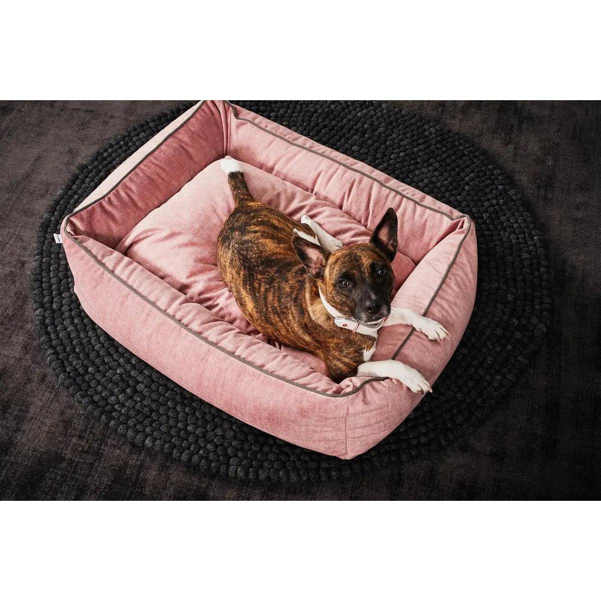 ORTHO Hundebett - GLAM ROSE LABONI