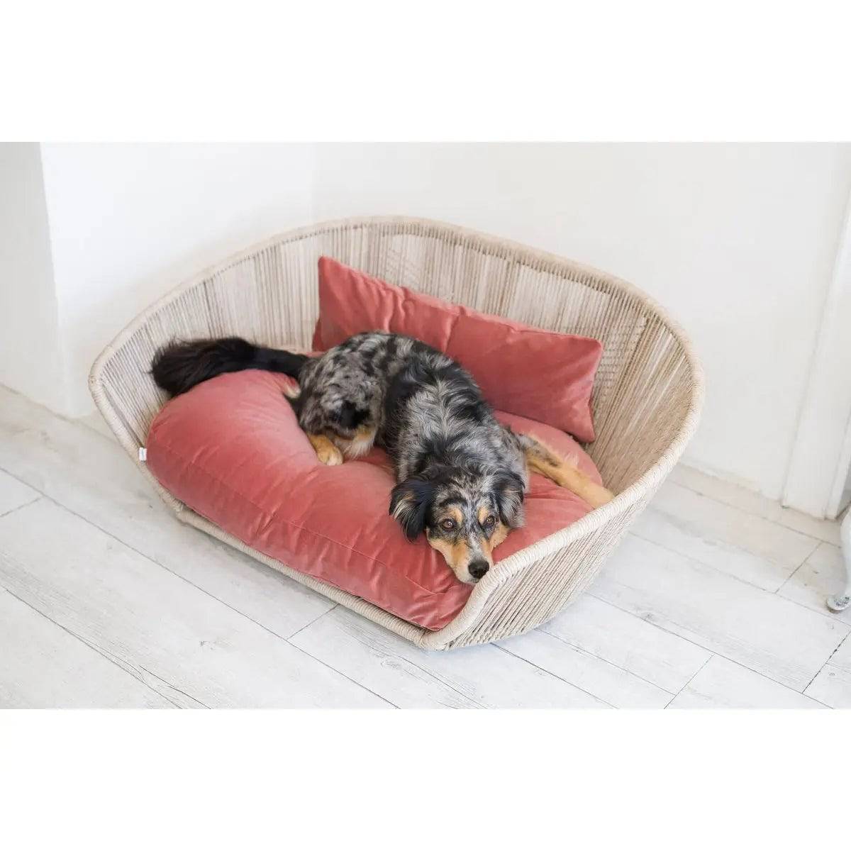 VOGUE - Design-Hundebett OXFORD LABONI