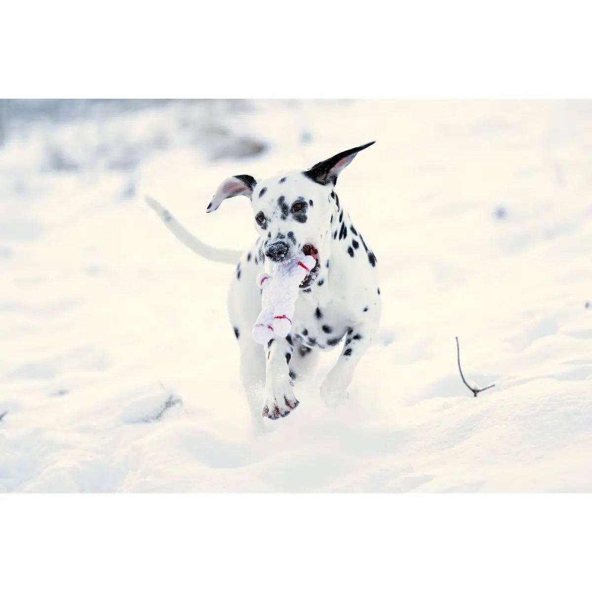 Shawn der Schneemann - Kult-Spielzeug für Hunde LABONI