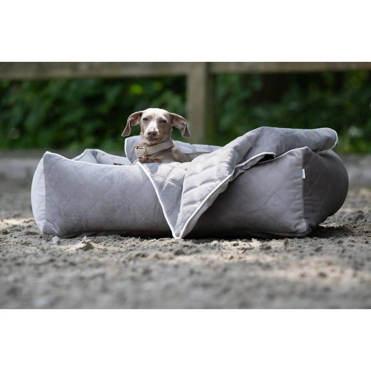 CLASSIC Hundebett - OXFORD TAUPE LABONI