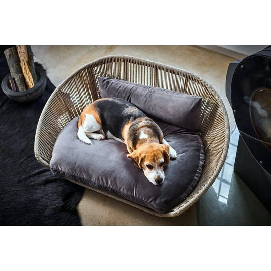 VOGUE - Design-Hundebett OXFORD LABONI