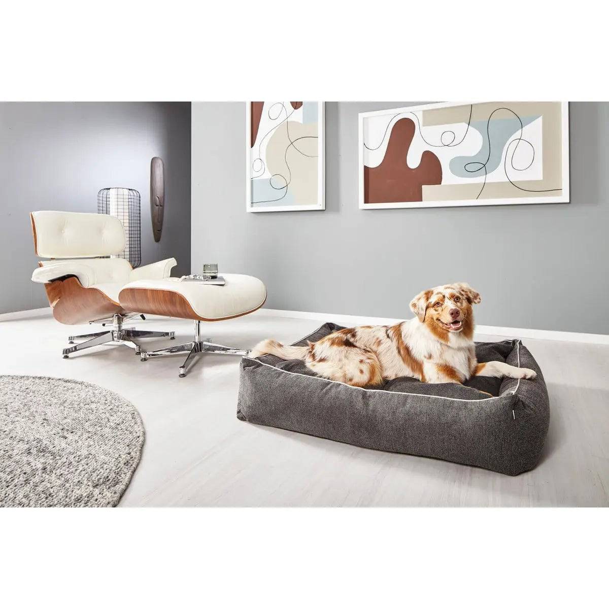 CLASSIC Hundebett - ECO GRAPHITE LABONI