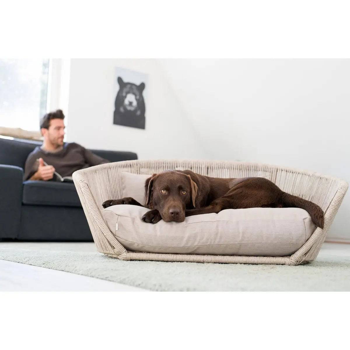 VOGUE - Design-Hundebett SMOOTH LABONI