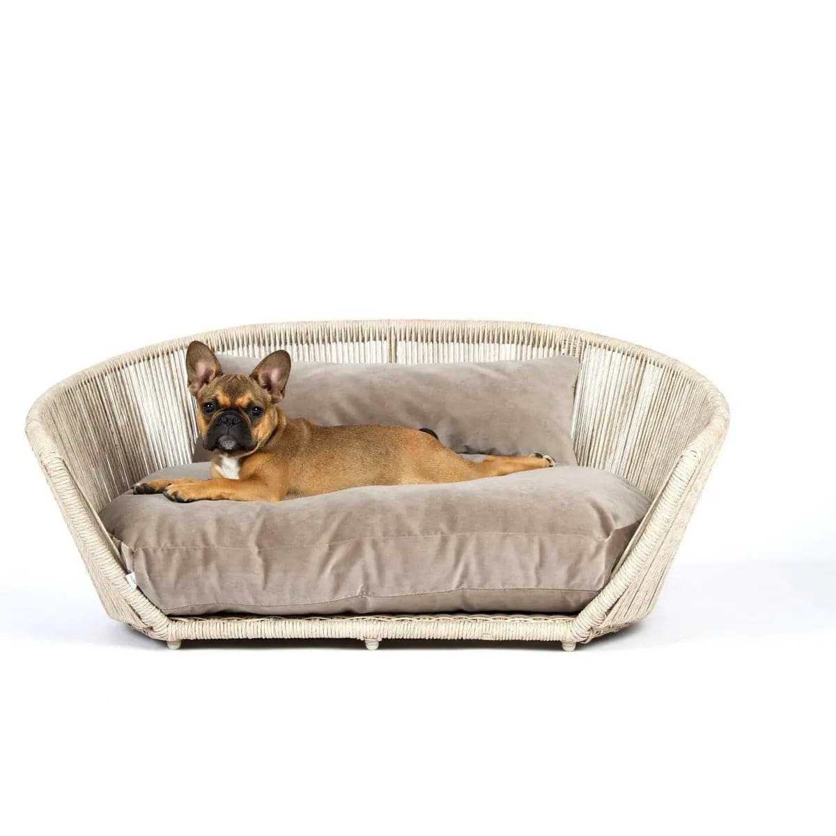 VOGUE - Design-Hundebett OXFORD LABONI