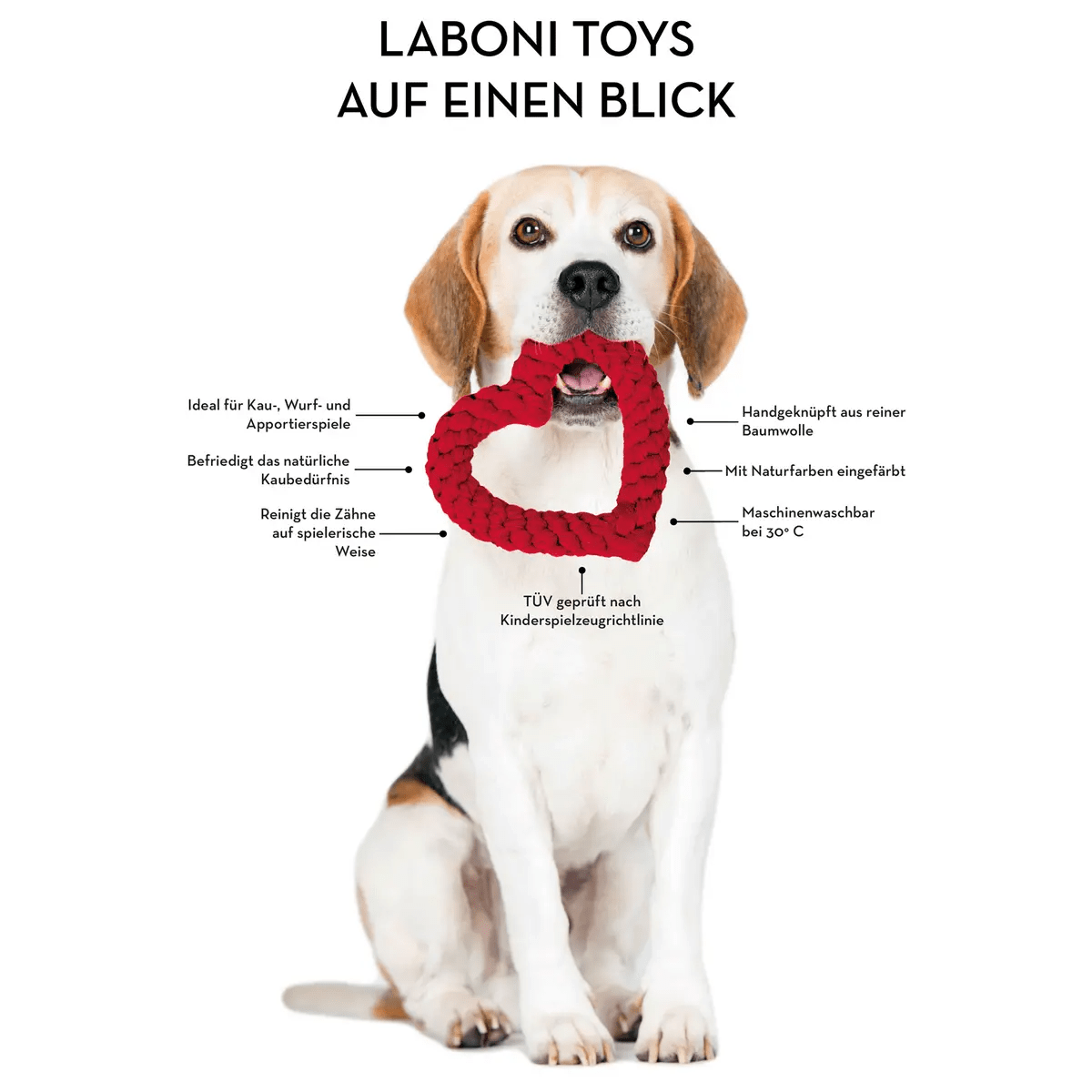 Monsieur LABONI - Spielzeug-Set für Hunde LABONI