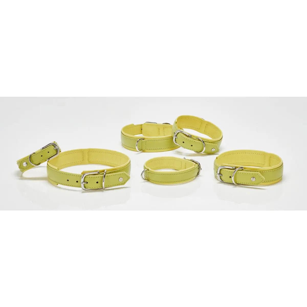 AMICI Lemon - Stilvolles Nappa-Halsband für modebewusste Hundefreunde LABONI