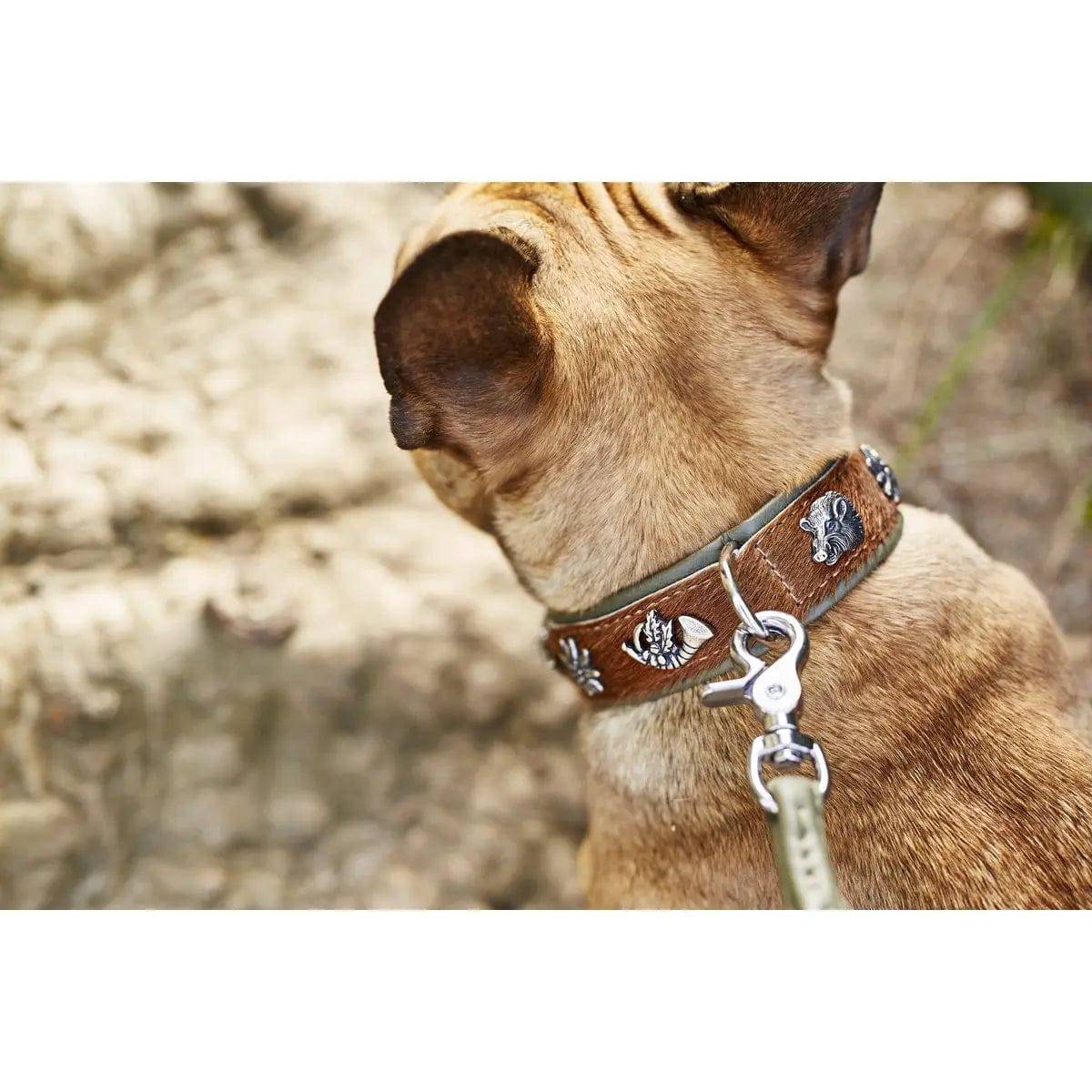 BAVARIA - Exklusives Hundehalsband im aufregenden Material-Mix LABONI