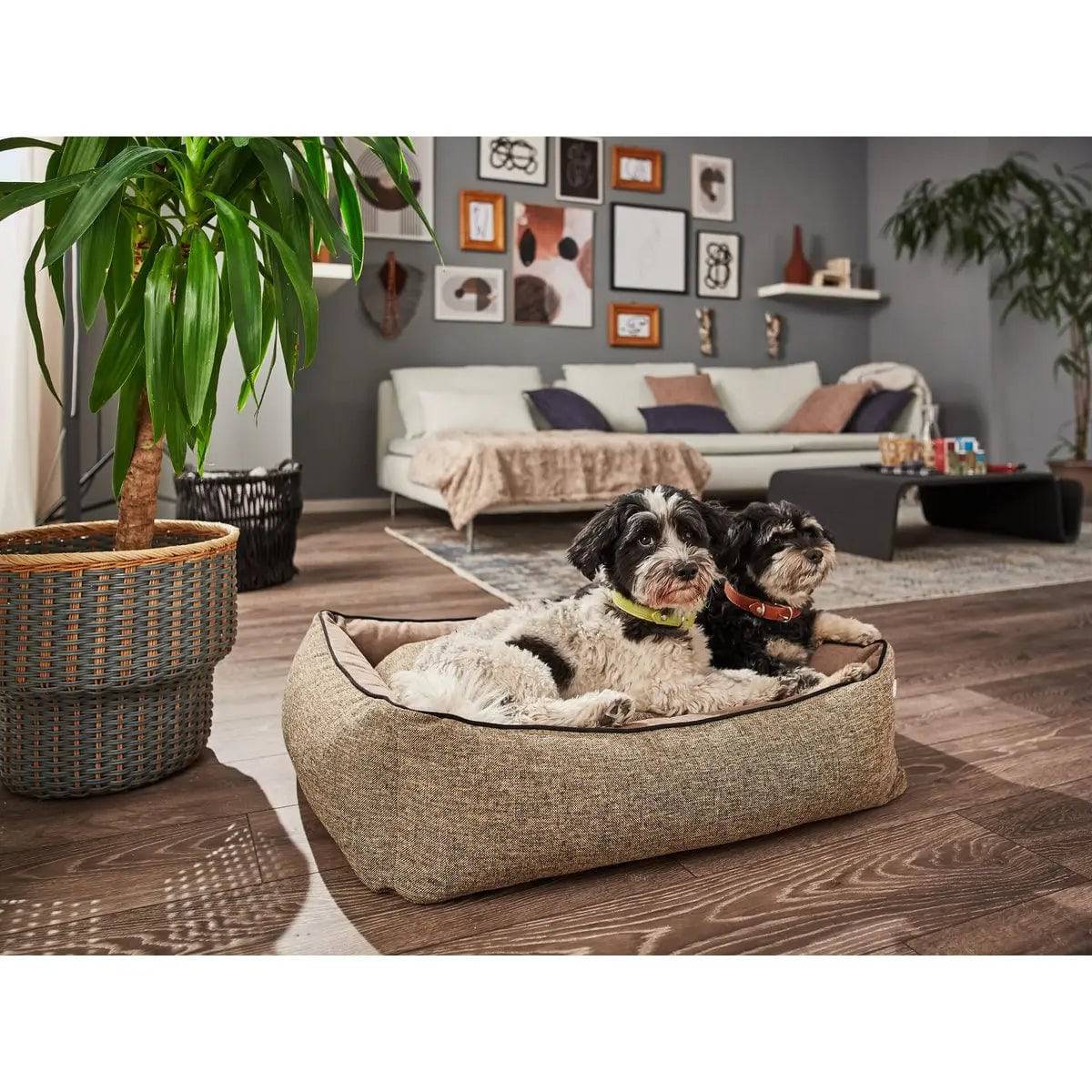 CLASSIC Hundebett - SCALA AMBER LABONI