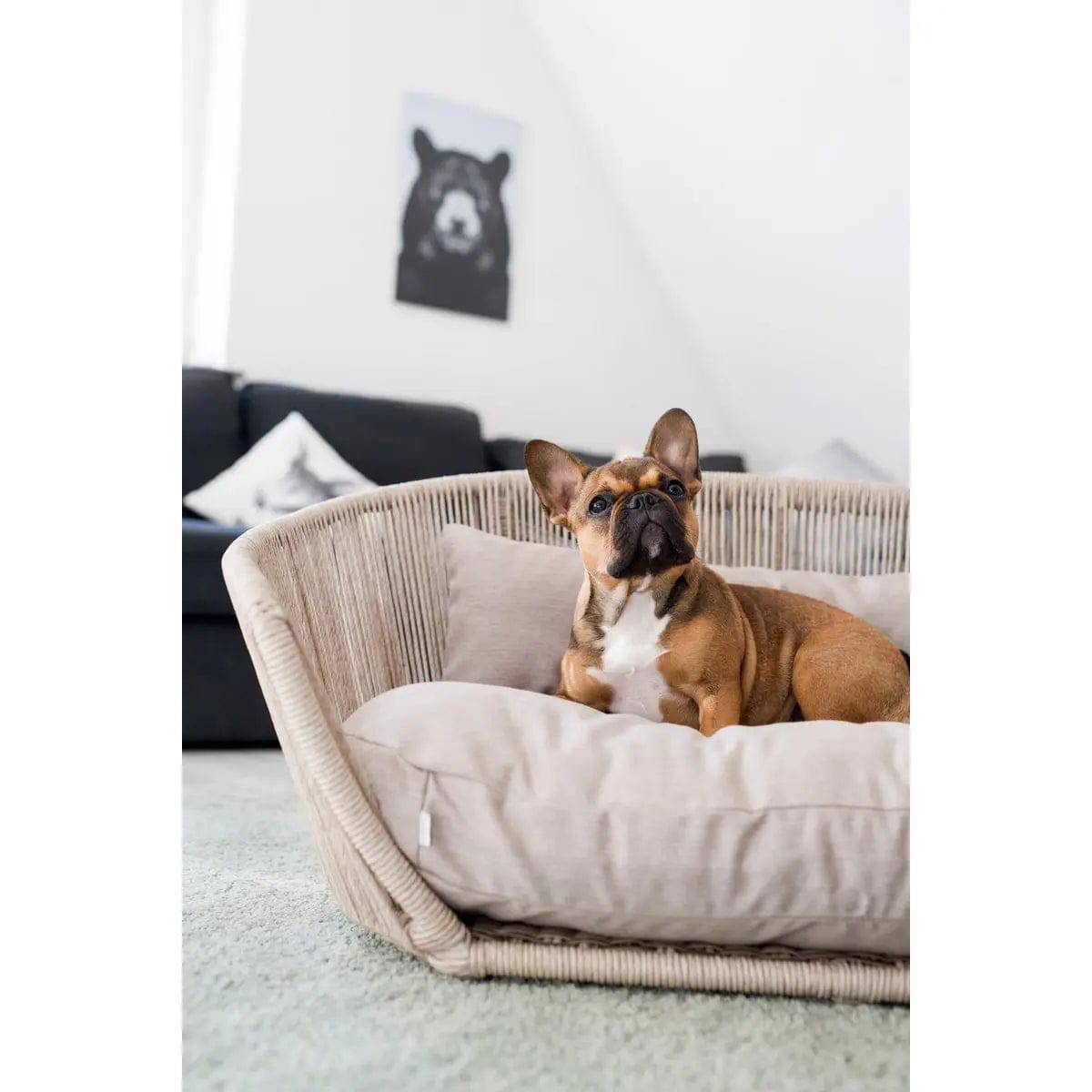 VOGUE - Design-Hundebett SMOOTH LABONI