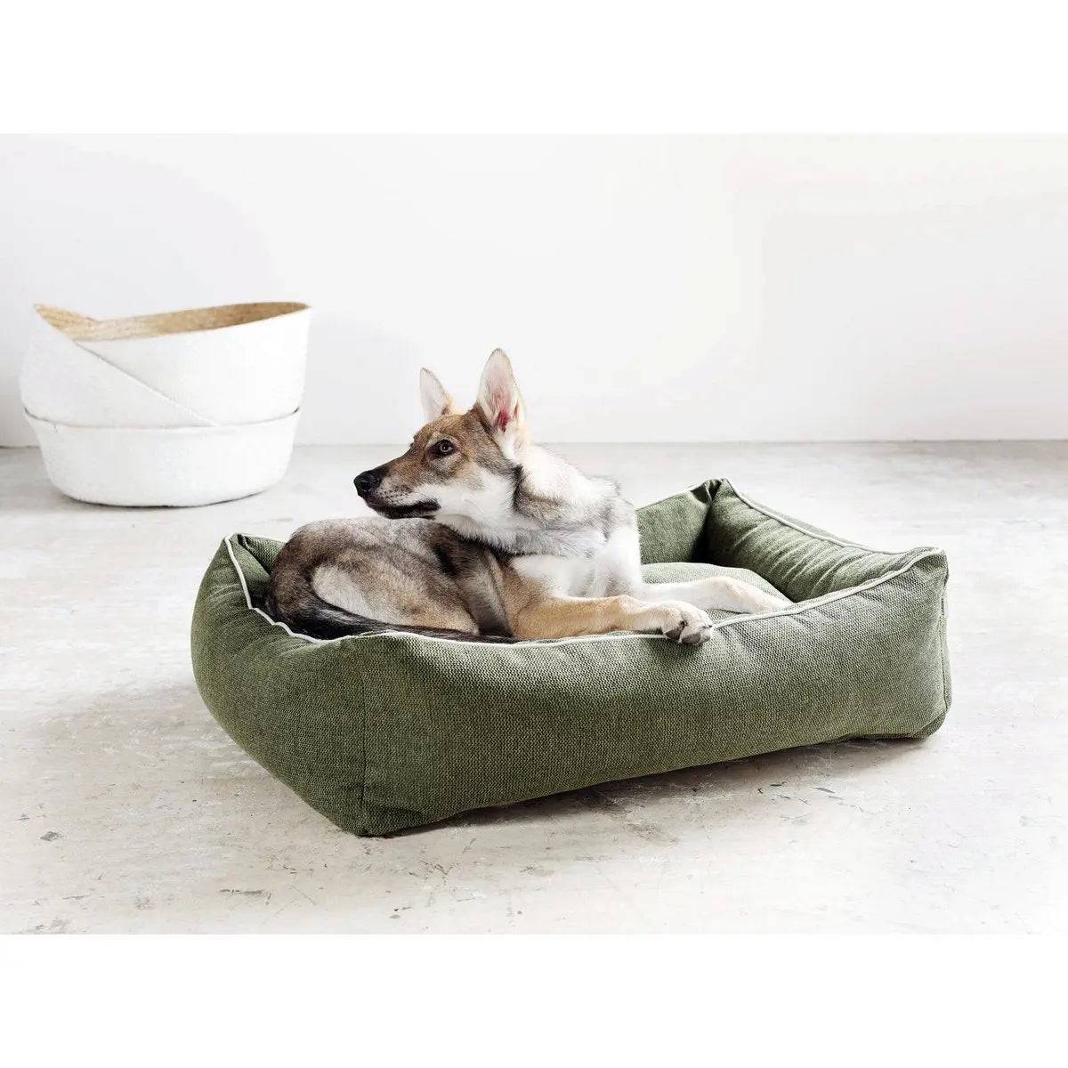 CLASSIC Hundebett - ECO GREEN LABONI