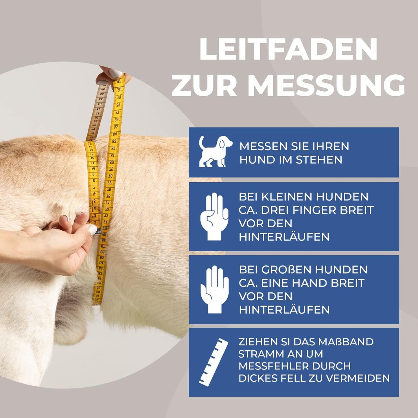 Läufigkeitshose für Hündinnen Nature Pet