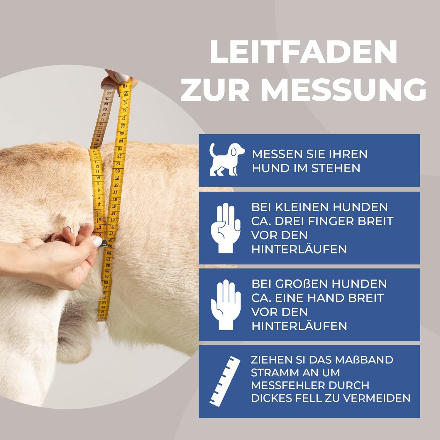 Läufigkeitshose für Hündinnen Nature Pet