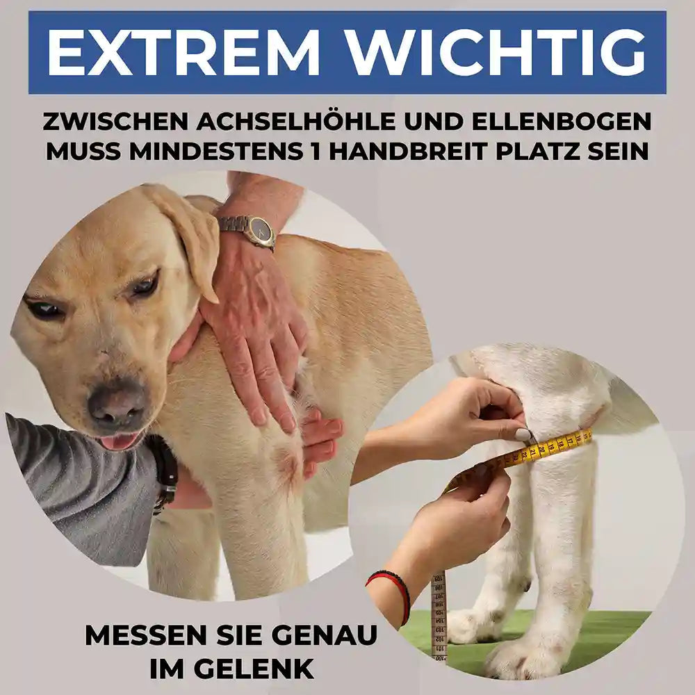 Liegeschwielen Bandage für Hunde Nature Pet