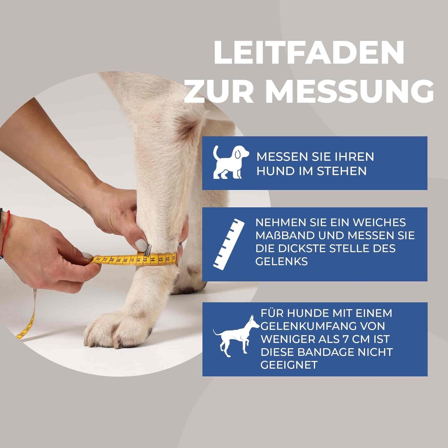 Medium Handgelenksbandage für Hunde Nature Pet