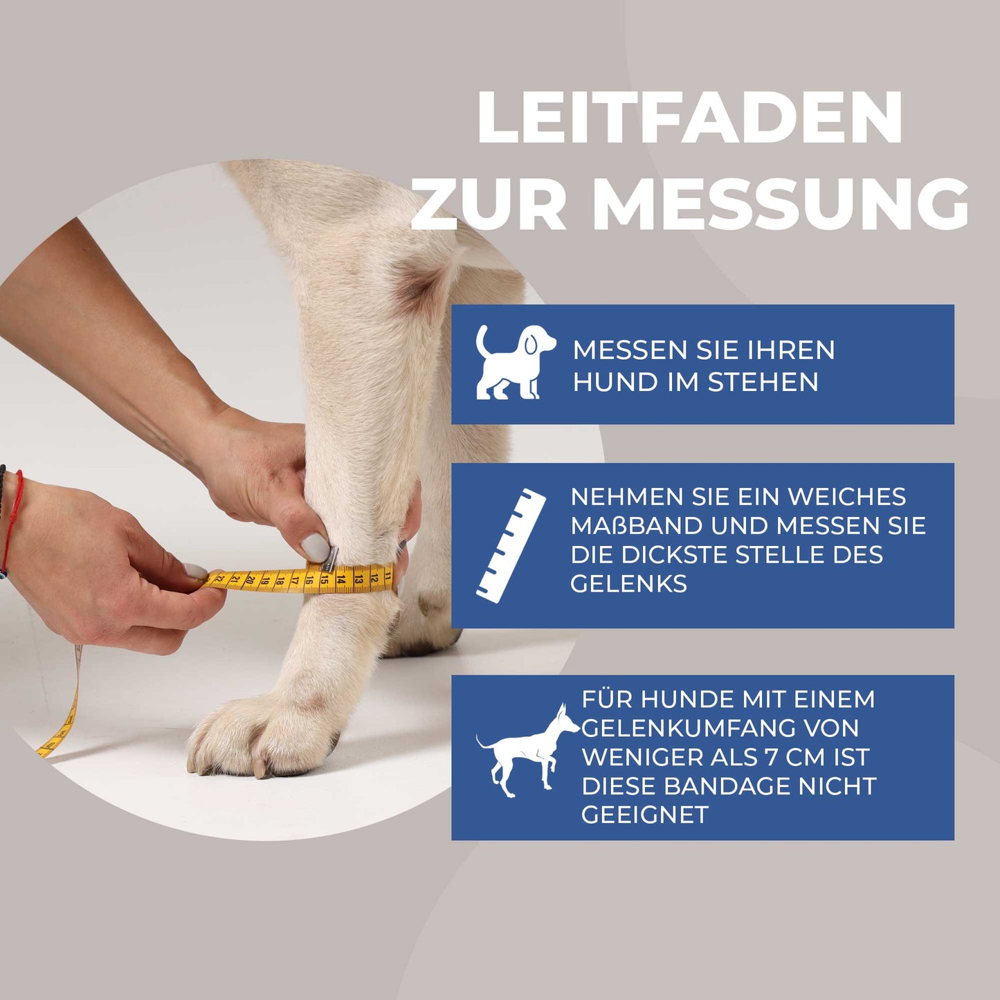 Sportbandage für Hunde Nature Pet