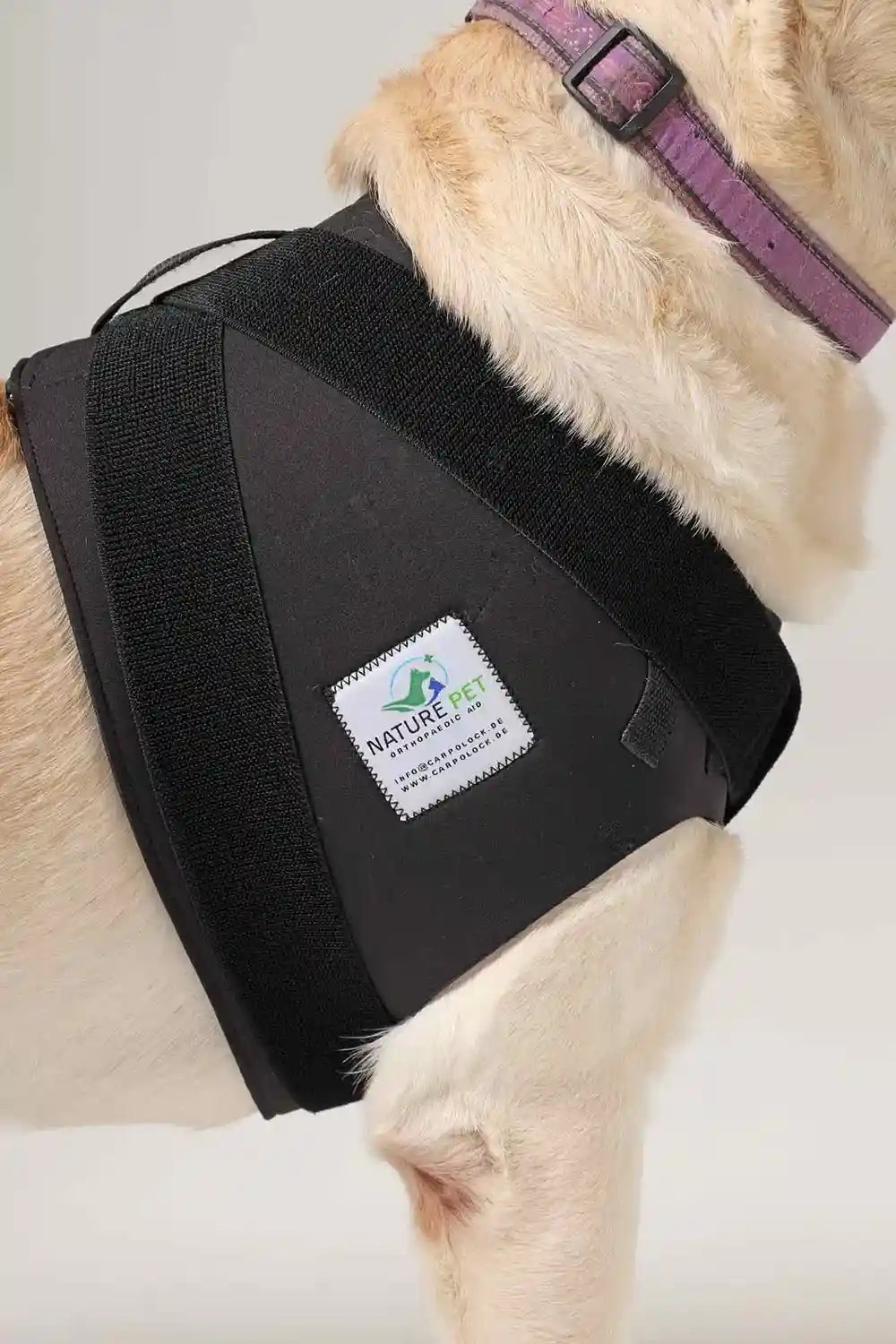 Schulter Abduktion Bandage für Hunde Nature Pet