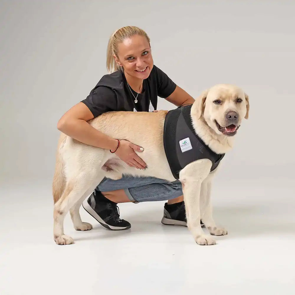 Schulter Abduktion Bandage für Hunde Nature Pet