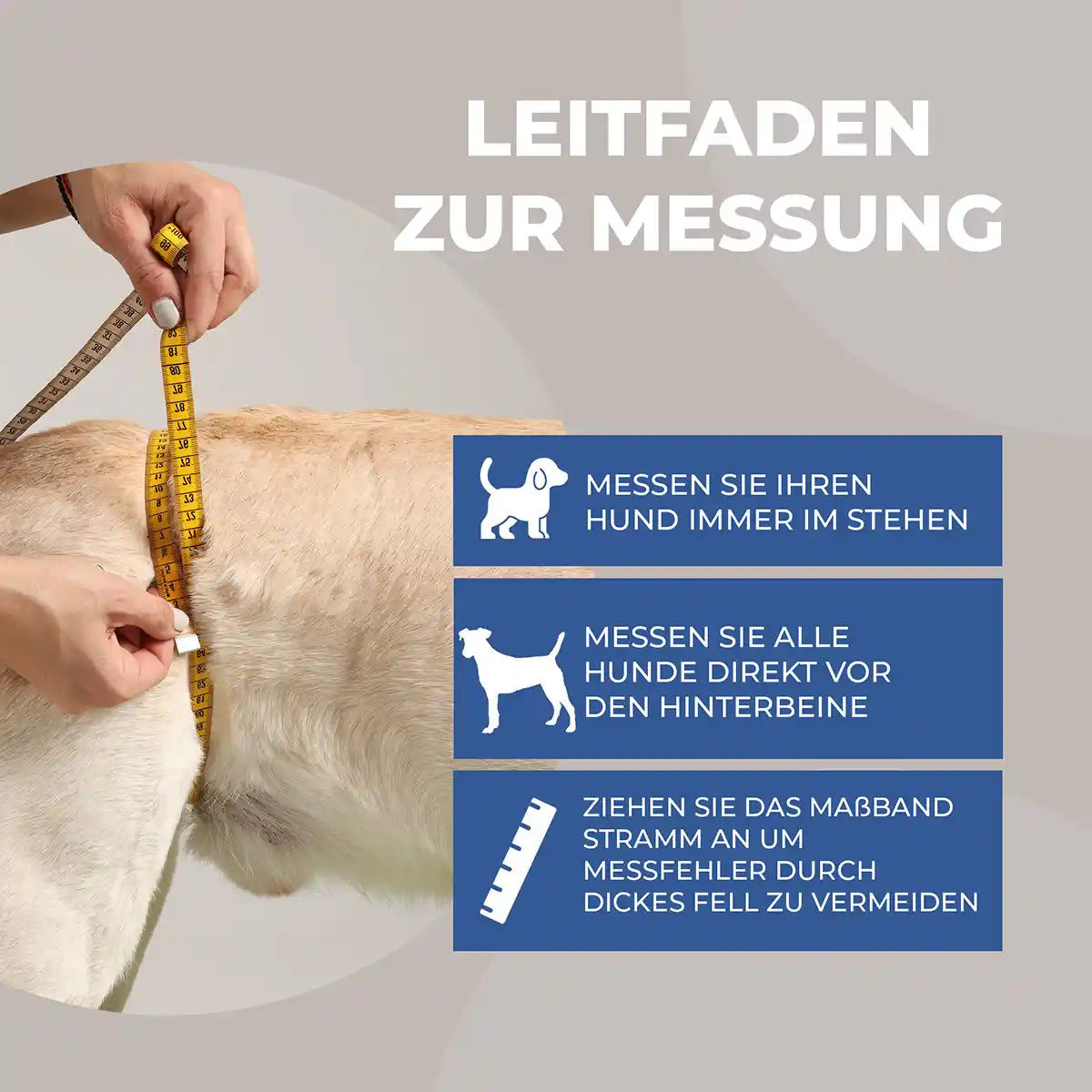Hunde Tragehilfe hinten Nature Pet