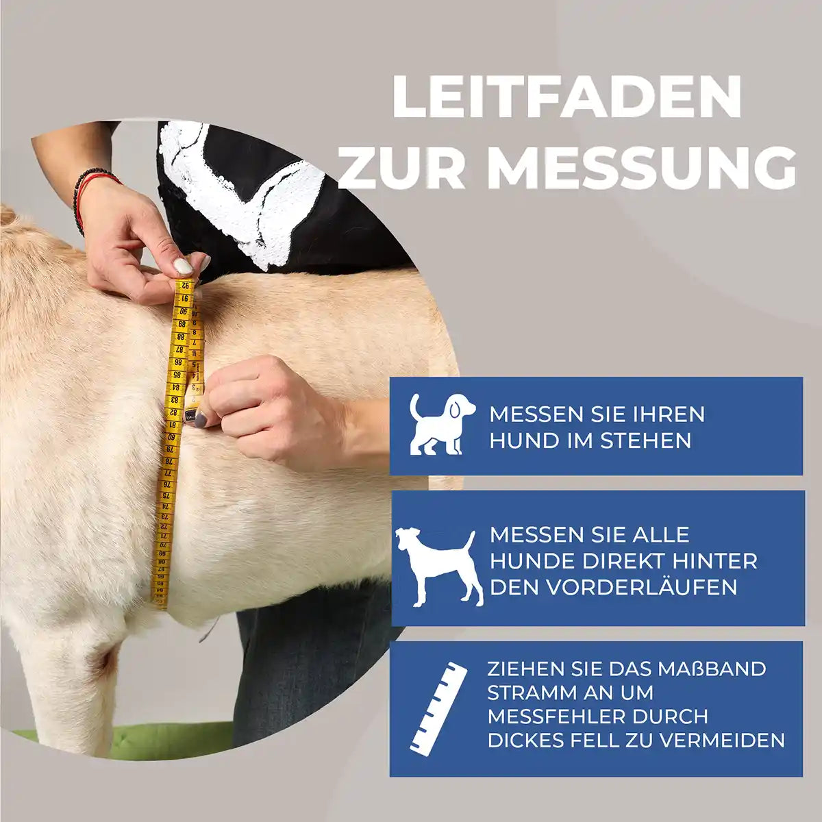 Schulter Abduktion Bandage für Hunde Nature Pet