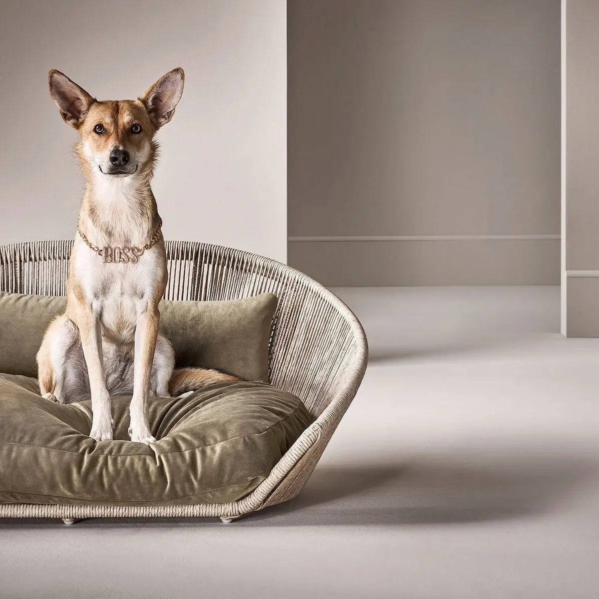 VOGUE - Design-Hundebett OXFORD LABONI