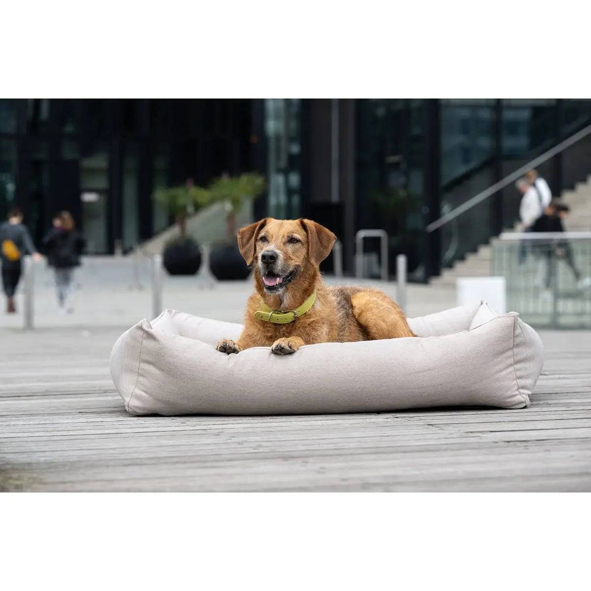 OUTDOOR Hundebett - SMOOTH LINO LABONI