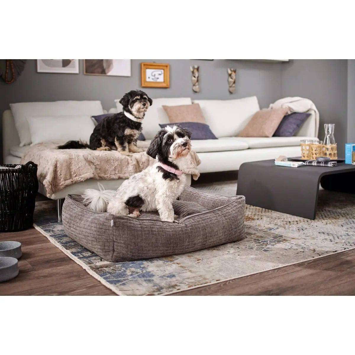 CLASSIC Hundebett - NOVA STONE LABONI