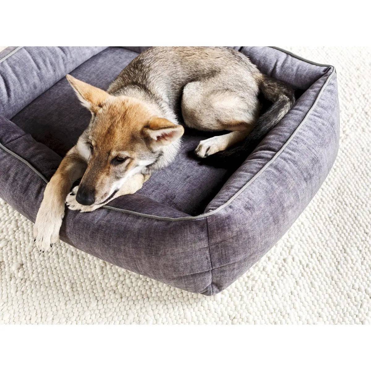 ORTHO Hundebett - GLAM GRAPHITE LABONI