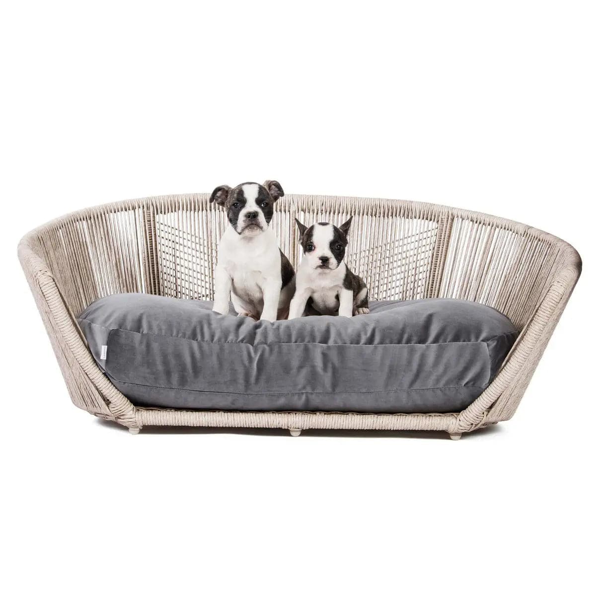 VOGUE - Design-Hundebett OXFORD LABONI