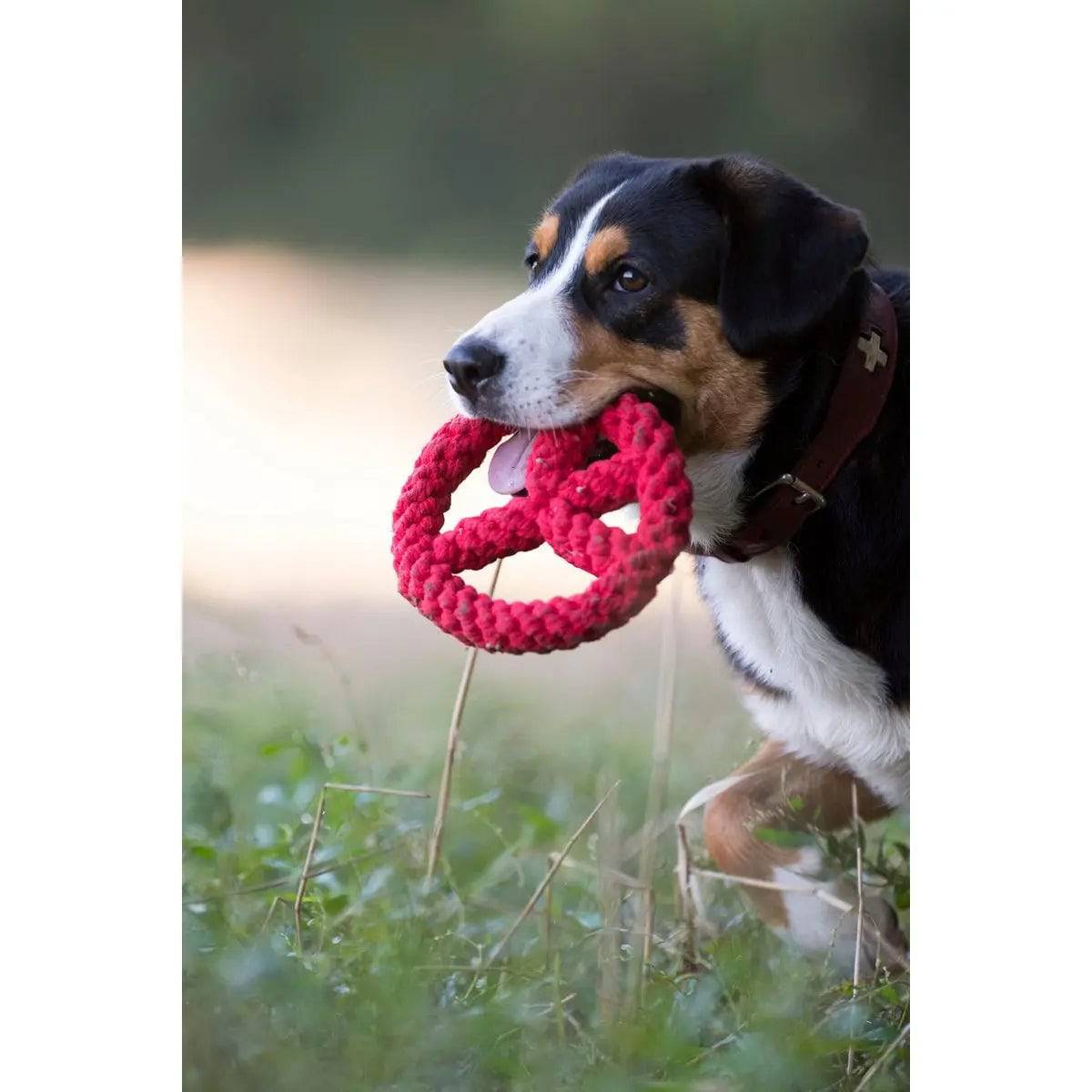 Paulchen Peace - Kult-Spielzeug für Hunde LABONI